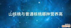 山核桃与普通核桃哪种营养高