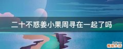 二十不惑姜小果周寻在一起了吗