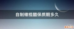 自制橄榄醋保质期多久