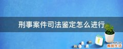刑事案件司法鉴定怎么进行