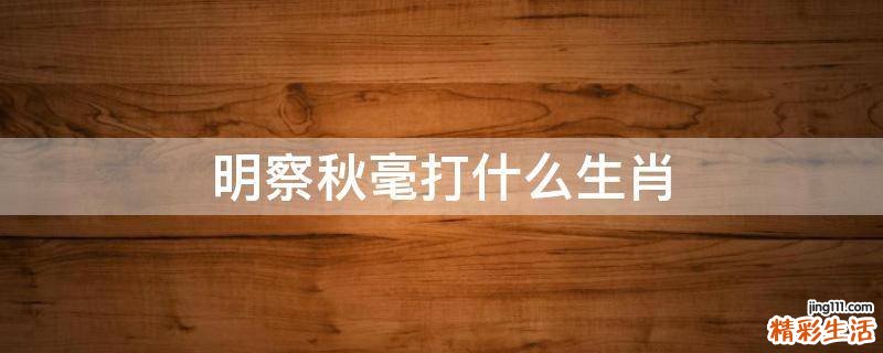 明察秋毫打什么生肖