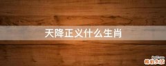 天降正义什么生肖