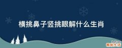 横挑鼻子竖挑眼解什么生肖