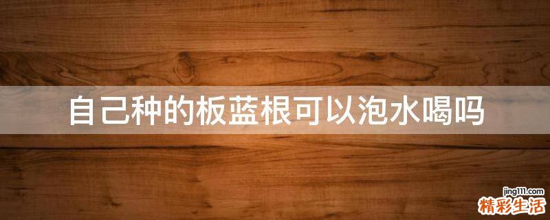 自己种的板蓝根可以泡水喝吗