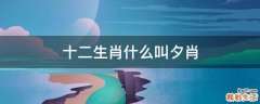 十二生肖什么叫夕肖