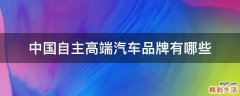 中國自主高端汽車品牌有哪些
