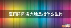夏雨阵阵浇大地是指什么生肖