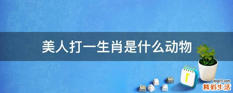 美人打一生肖是什么动物