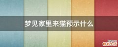 梦见家里来猫预示什么