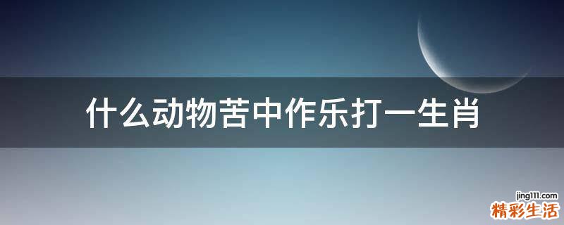 什么动物苦中作乐打一生肖