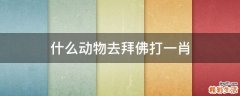 什么動(dòng)物去拜佛打一肖