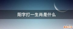 阳字打一生肖是什么