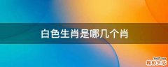 白色生肖是哪几个肖