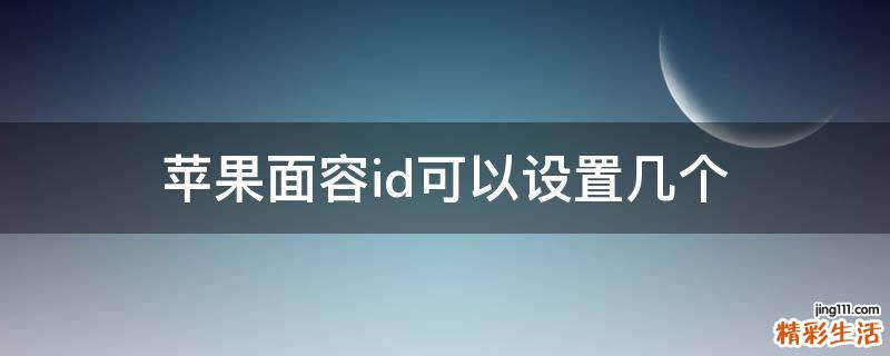 苹果面容id可以设置几个