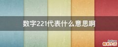 数字221代表什么意思啊