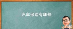 汽车保险有哪些
