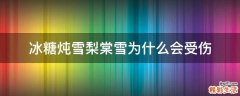 冰糖炖雪梨棠雪为什么会受伤