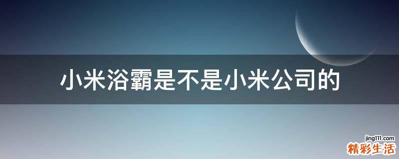 小米浴霸是不是小米公司的