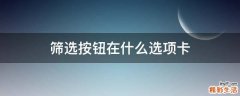 筛选按钮在什么选项卡