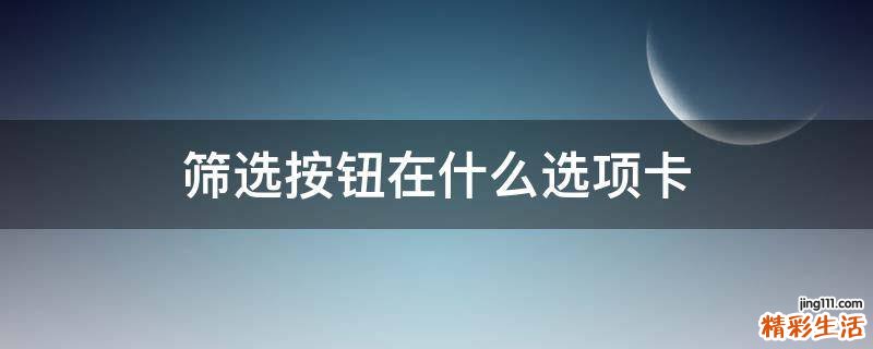 筛选按钮在什么选项卡