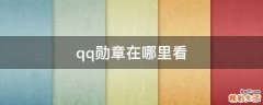 qq勋章在哪里看