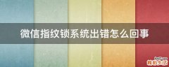 微信指紋鎖系統(tǒng)出錯(cuò)怎么回事