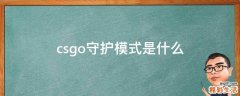 csgo守護模式是什么