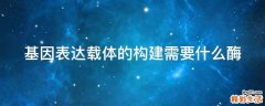 基因表达载体的构建需要什么酶