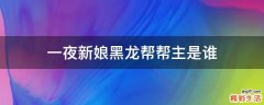 一夜新娘黑龙帮帮主是谁