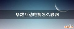 华数互动电视怎么联网