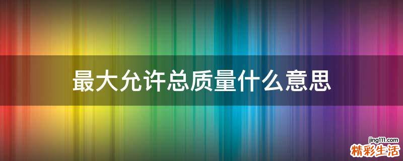 最大允许总质量什么意思