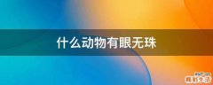 什么动物有眼无珠