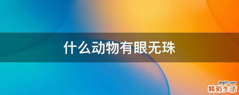 什么动物有眼无珠