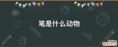 笔是什么动物