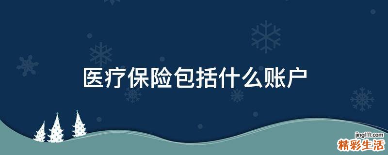 医疗保险包括什么账户