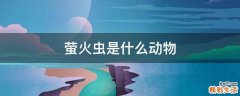 萤火虫是什么动物