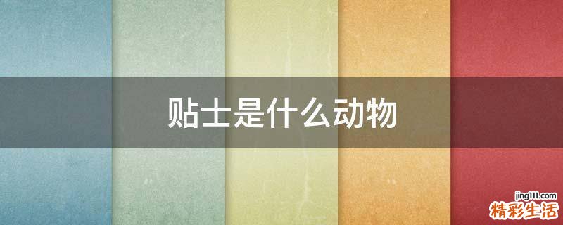 贴士是什么动物