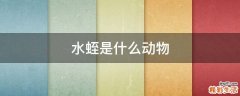 水蛭是什么动物