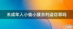 未成年人小偷小摸会判盗窃罪吗