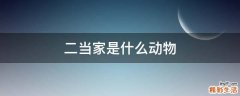 二当家是什么动物