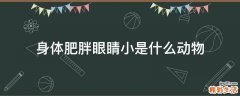 身体肥胖眼睛小是什么动物