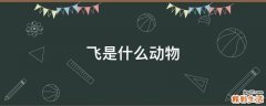 飞是什么动物