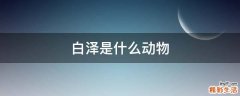 白泽是什么动物