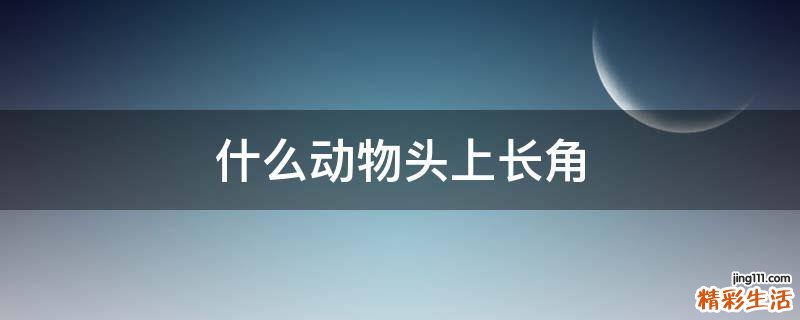 什么动物头上长角