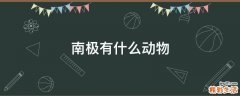 南极有什么动物