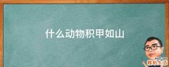 什么动物积甲如山