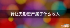 轉(zhuǎn)讓無形資產(chǎn)屬于什么收入