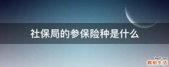 社保局的参保险种是什么