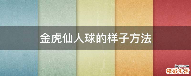 金虎仙人球的样子方法
