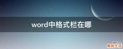 word中格式栏在哪